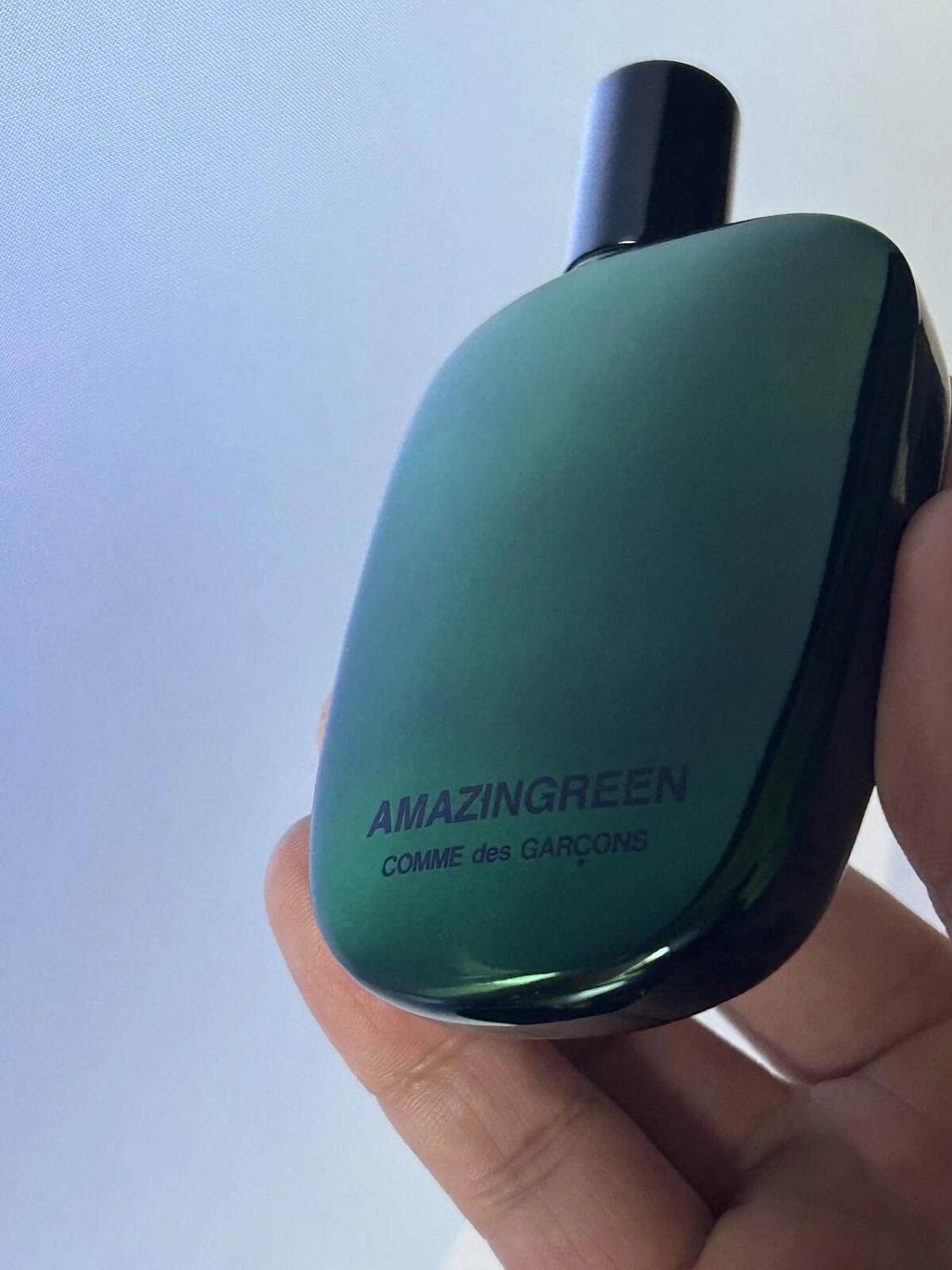 Comme des Garcons Amazingreen Comme des Garcons Amazingreen