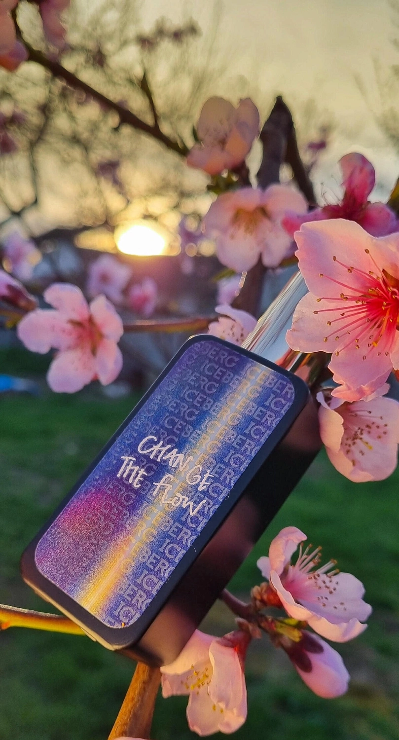 Iceberg Change The Flow