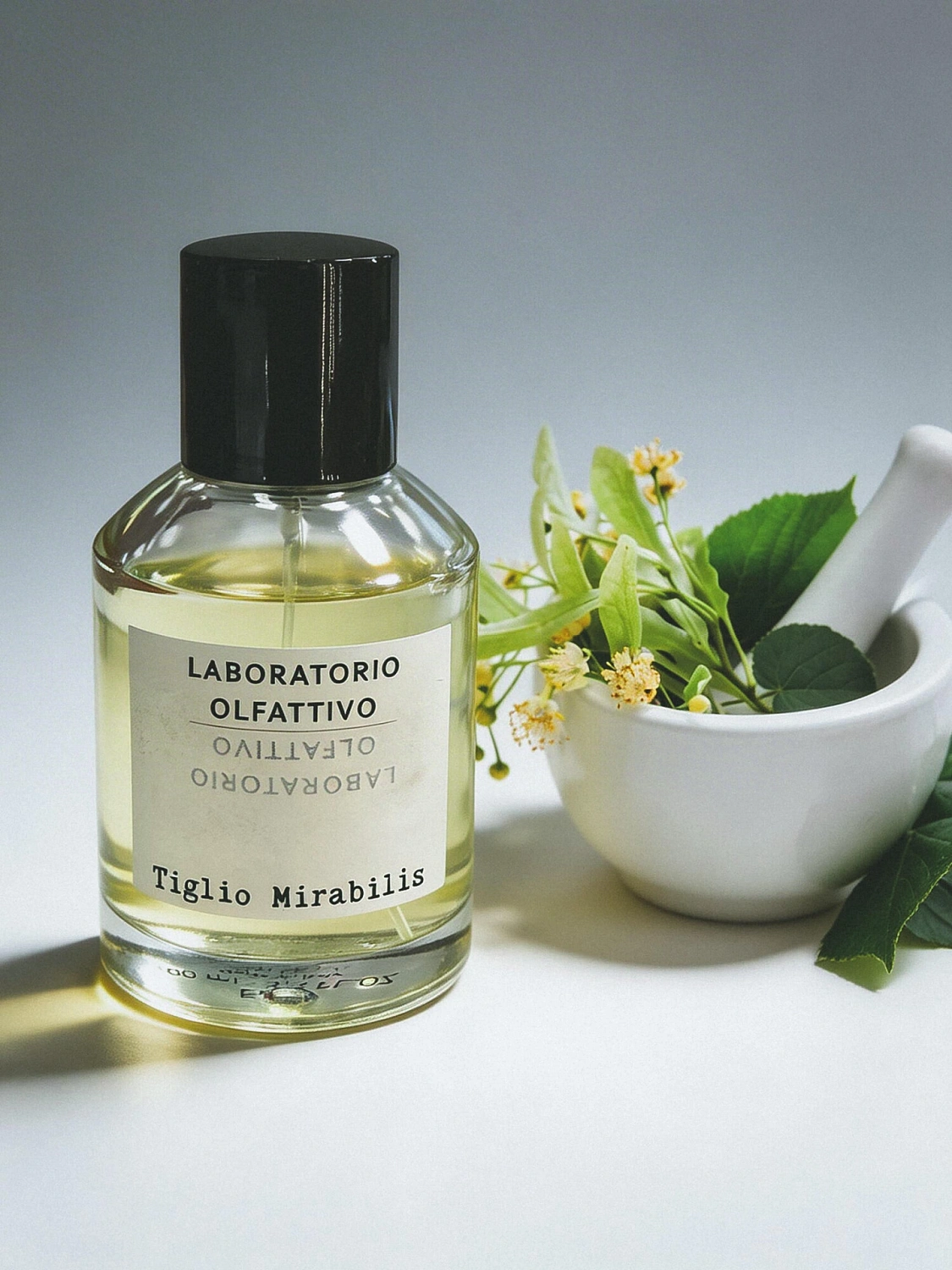Laboratorio Olfattivo Tiglio Mirabilis