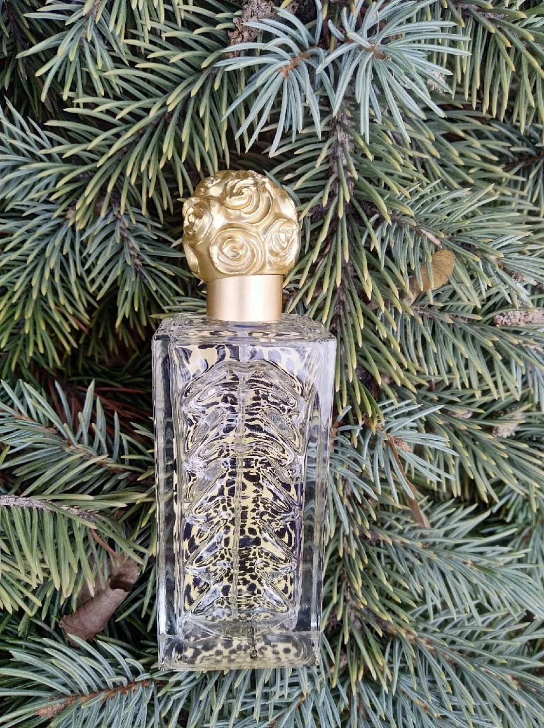 Salvador Dali Dali Wild