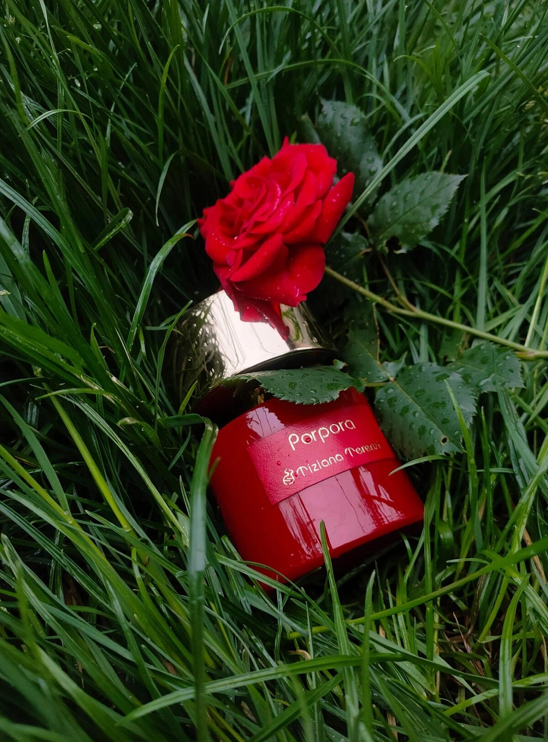 Tiziana Terenzi Porpora