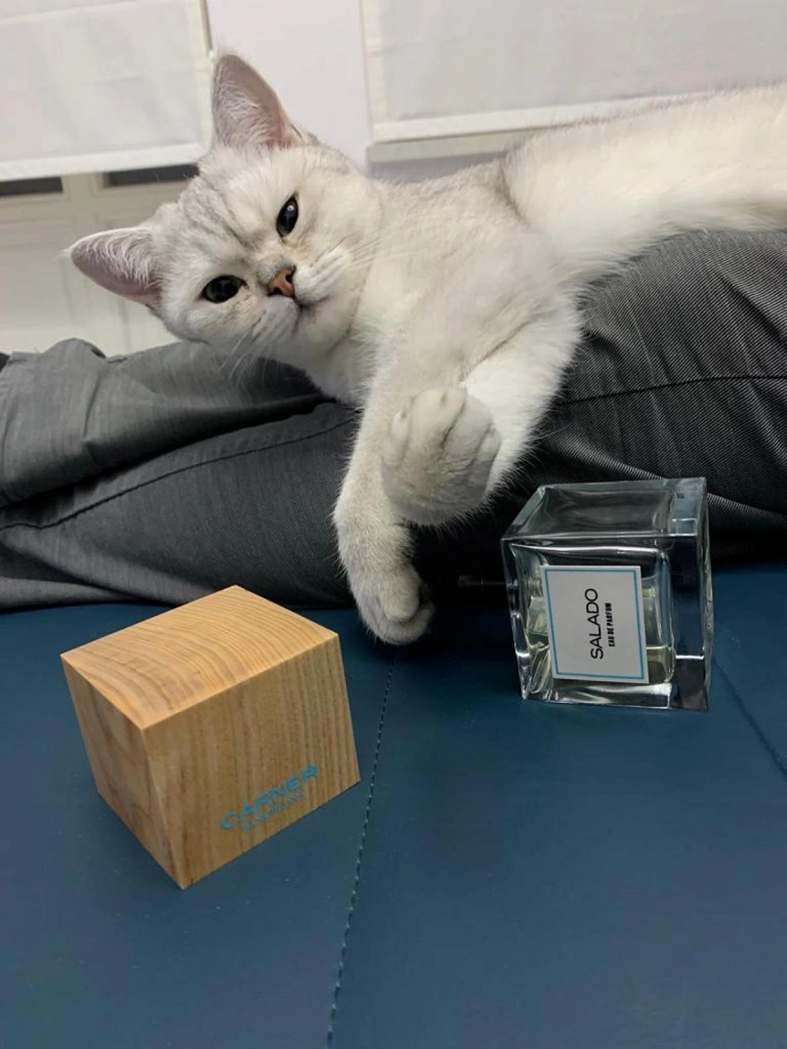 Carner Barcelona Salado