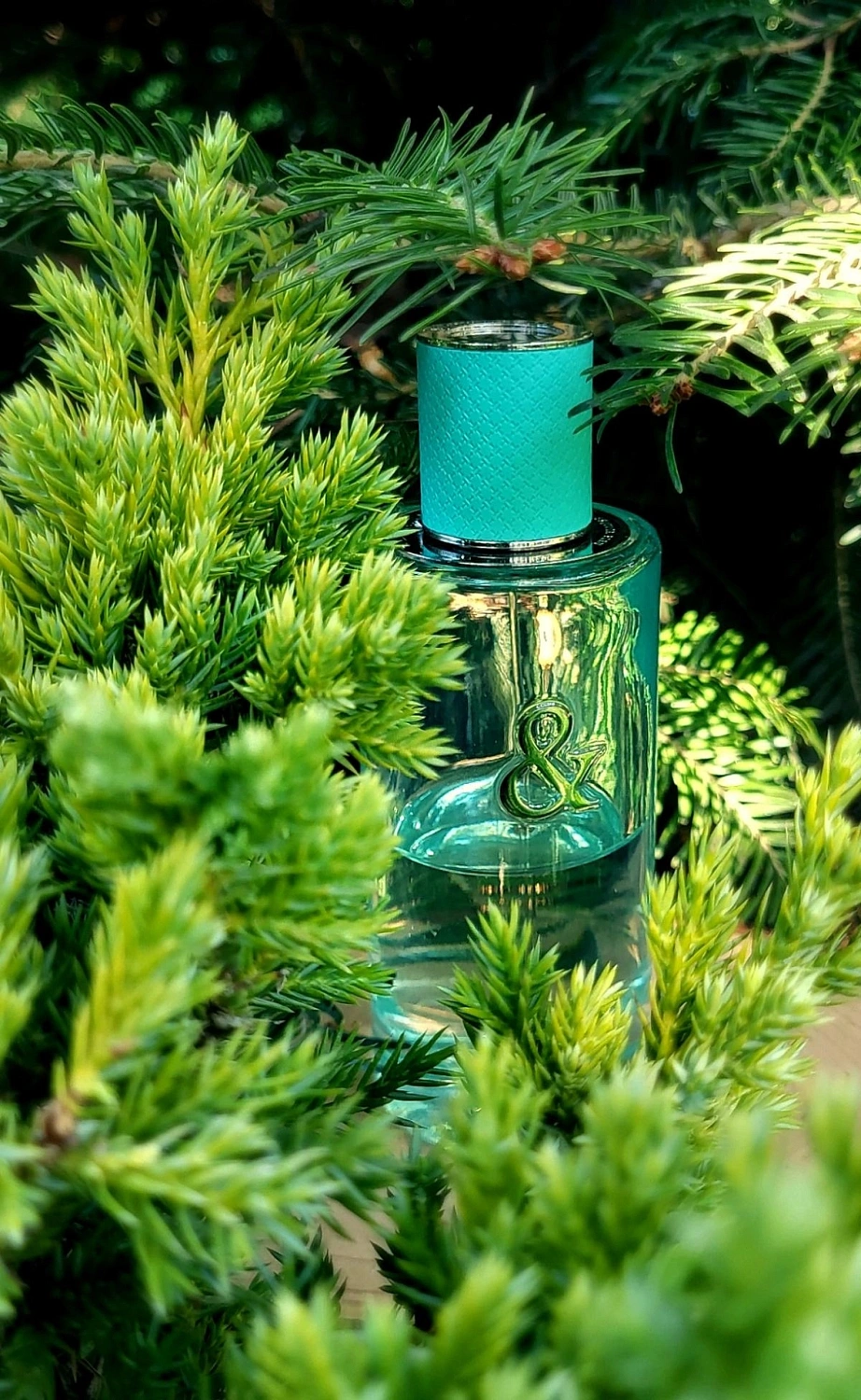 Tiffany & Love For Her