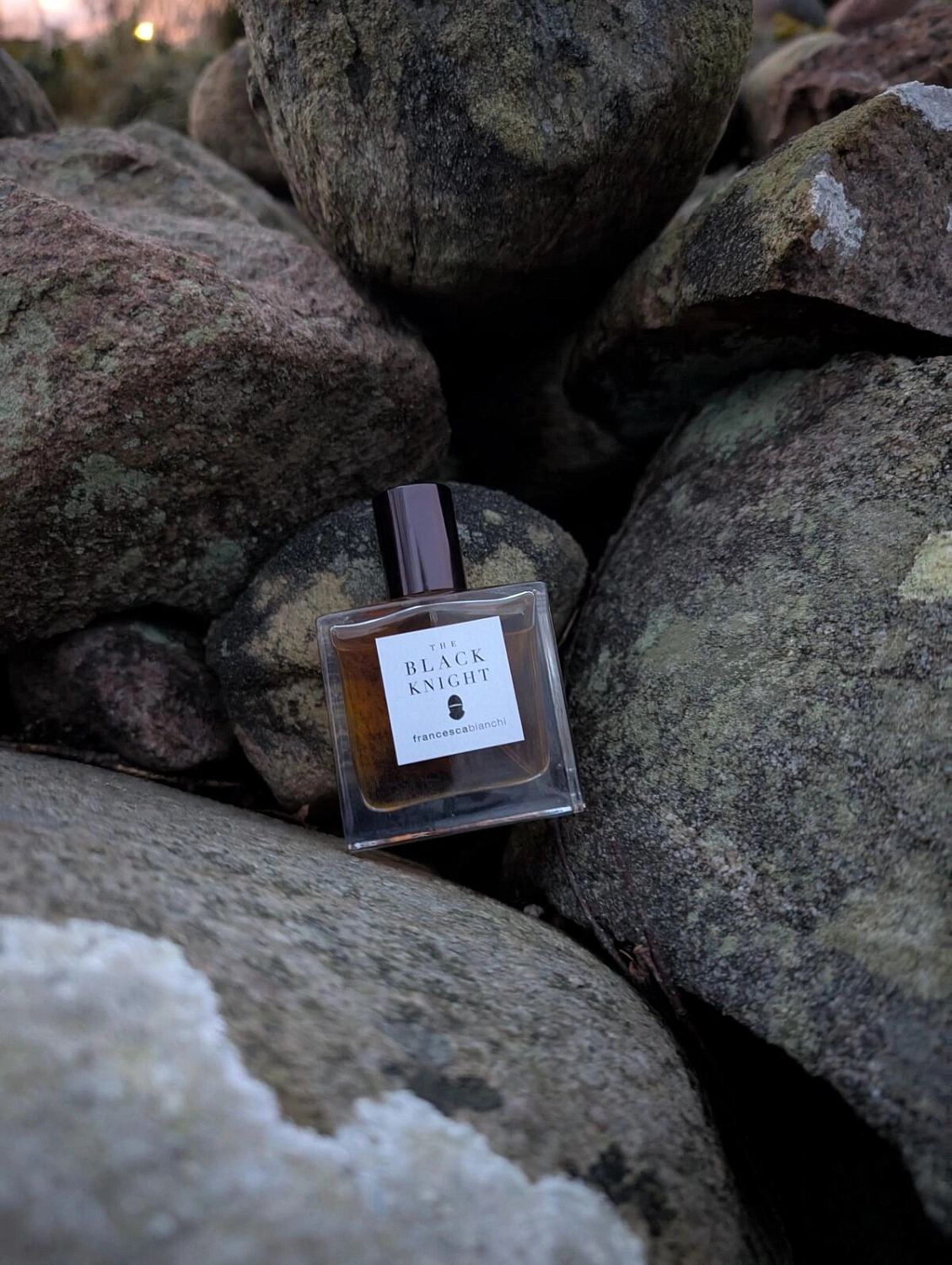 Francesca Bianchi The Black Knight