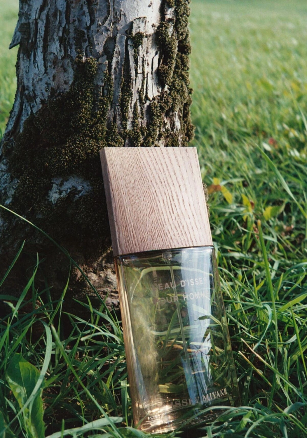 Issey Miyake L’Eau d’Issey pour Homme Vetiver