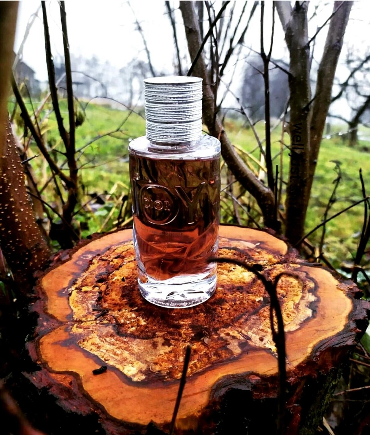 Christian Dior Joy by Dior Intense