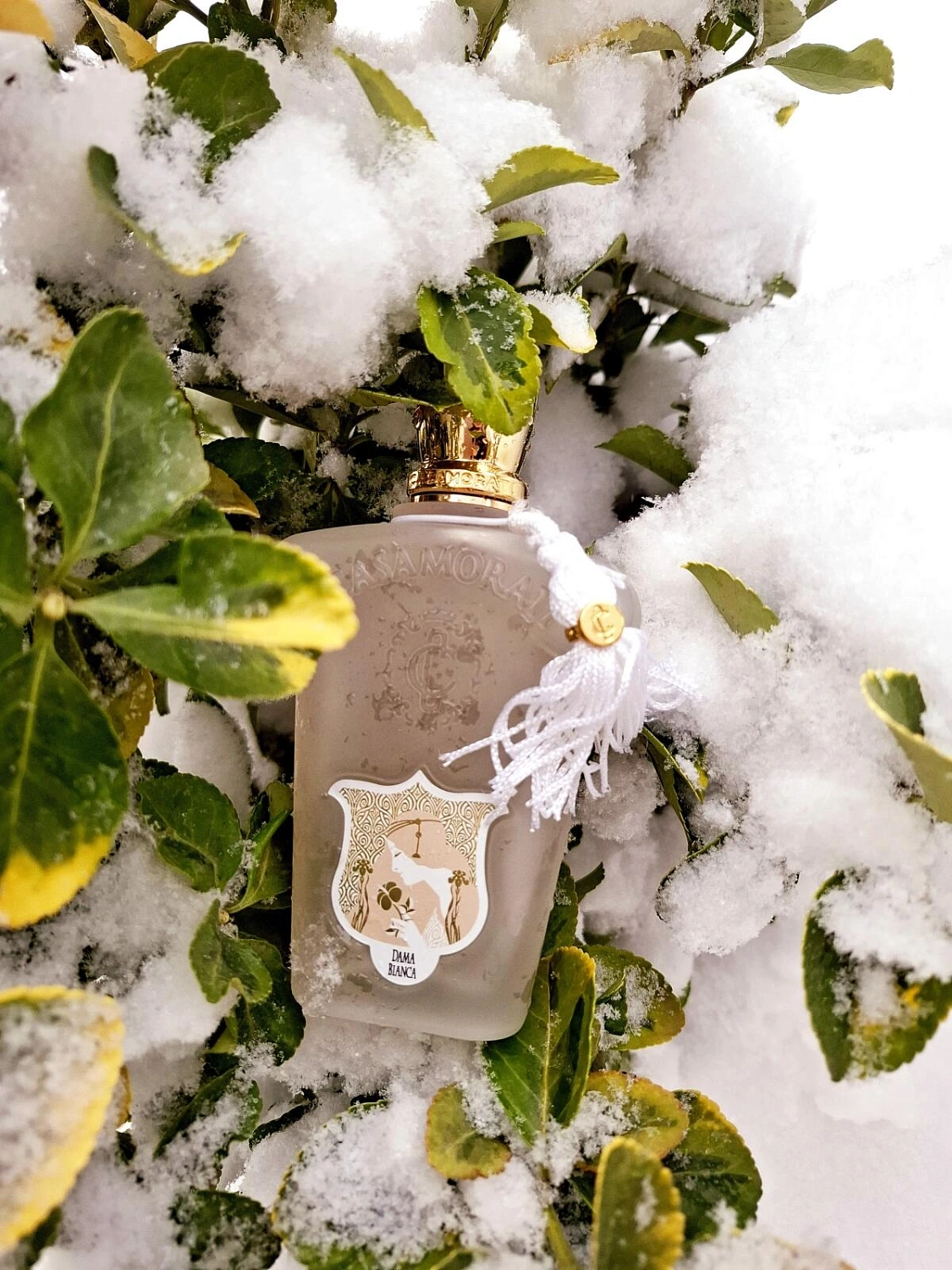 Xerjoff Casamorati 1888 Dama Bianca