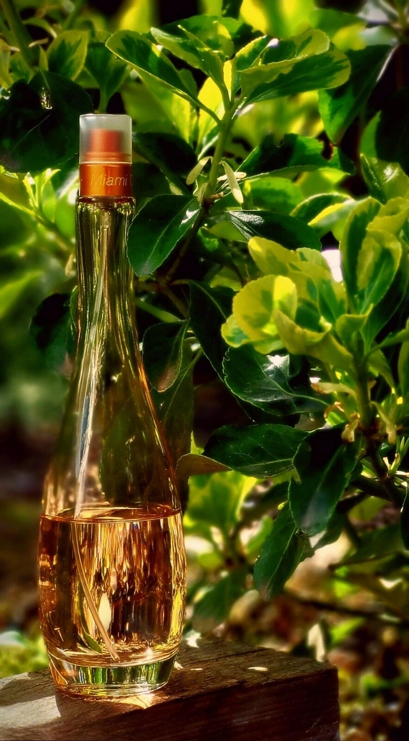 Jennifer Lopez Miami Glow