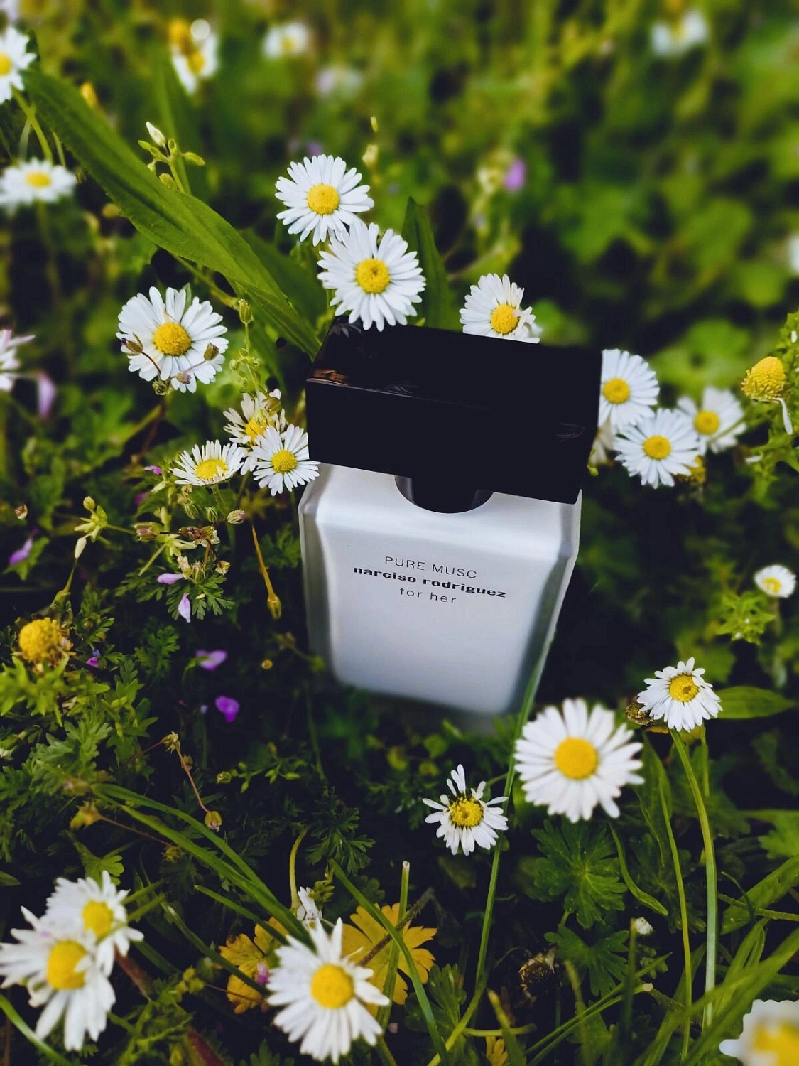Narciso Rodriguez Pure Musc For Her Narciso Rodriguez Pure Musc For Her