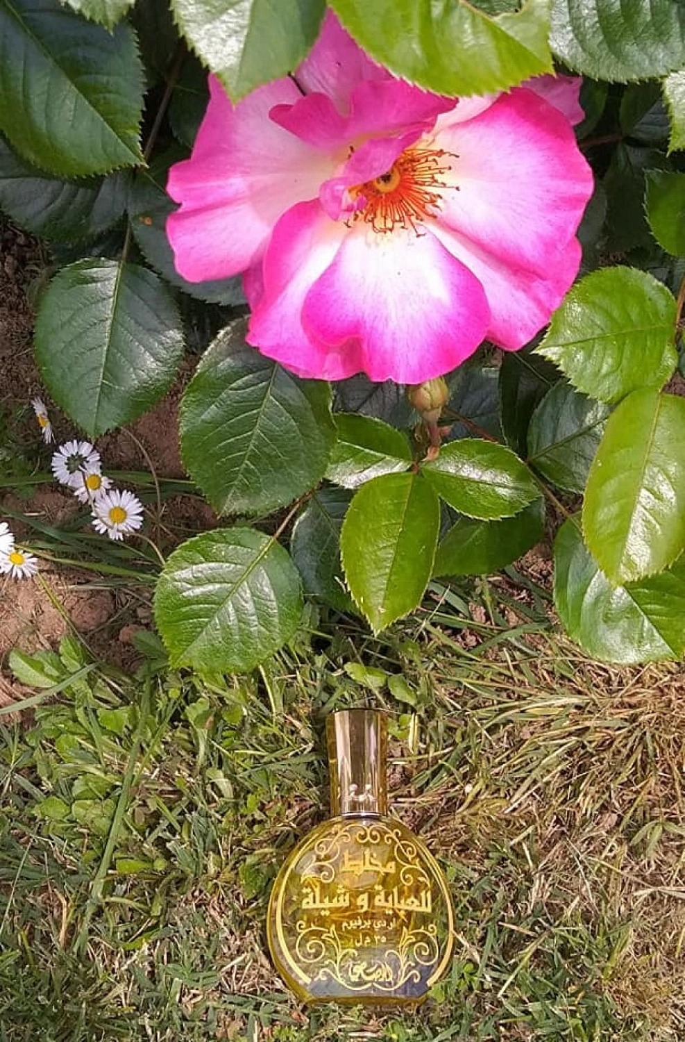 Rasasi Mukhallat Lil Abhaya Wa Shela Rasasi Mukhallat Lil Abhaya Wa Shela