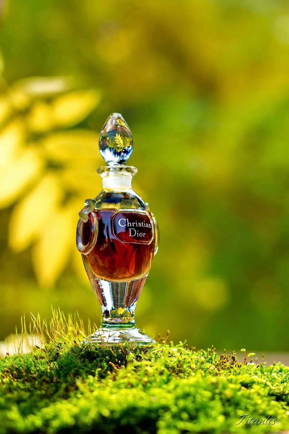 Christian Dior Diorling