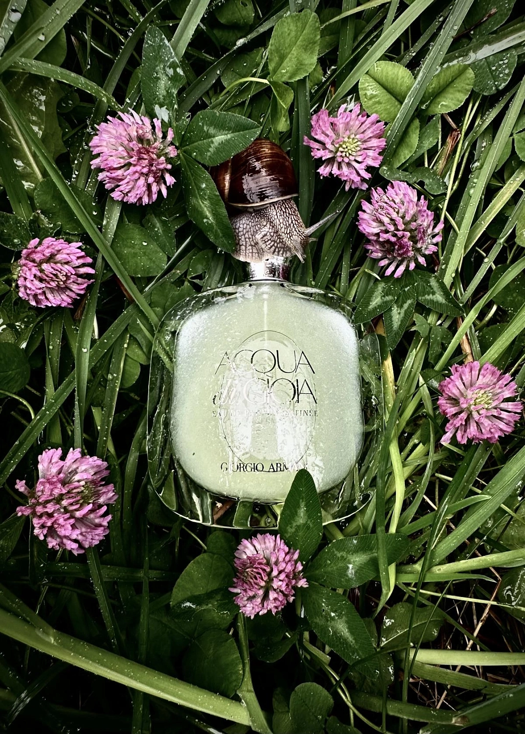 ARMANI Acqua di Gioia Eau de Parfum Satinee (Satin Edition) ARMANI Acqua di Gioia Eau de Parfum Satinee (Satin Edition)