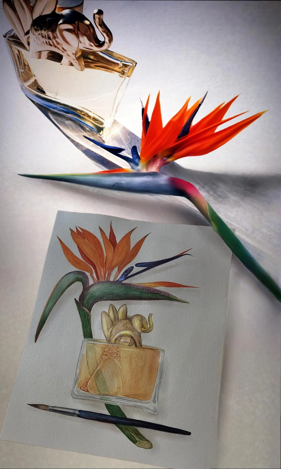 KENZO Jungle L’elephant