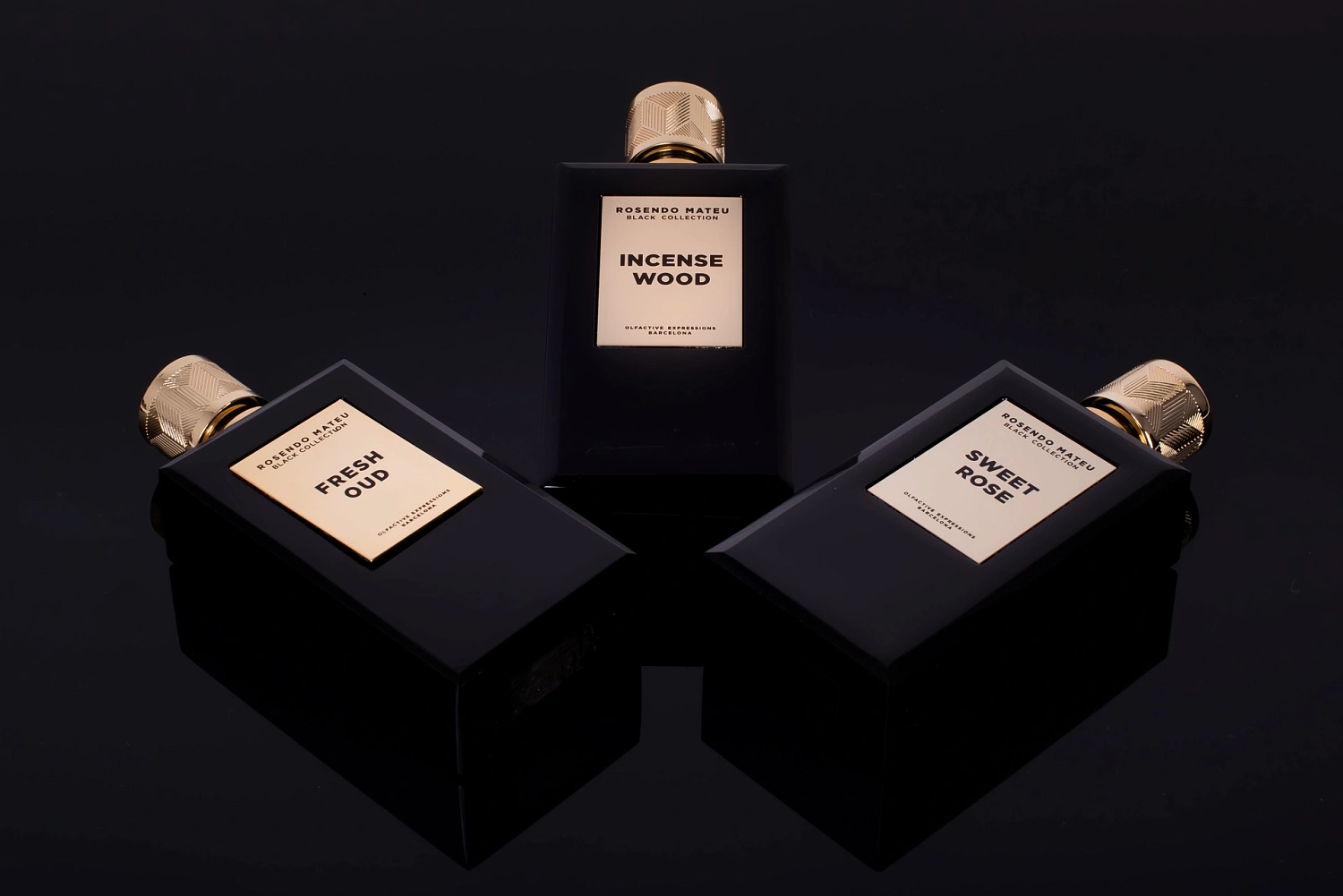 Rosendo Mateu Olfactive Expressions Incense Wood Rosendo Mateu Olfactive Expressions Incense Wood