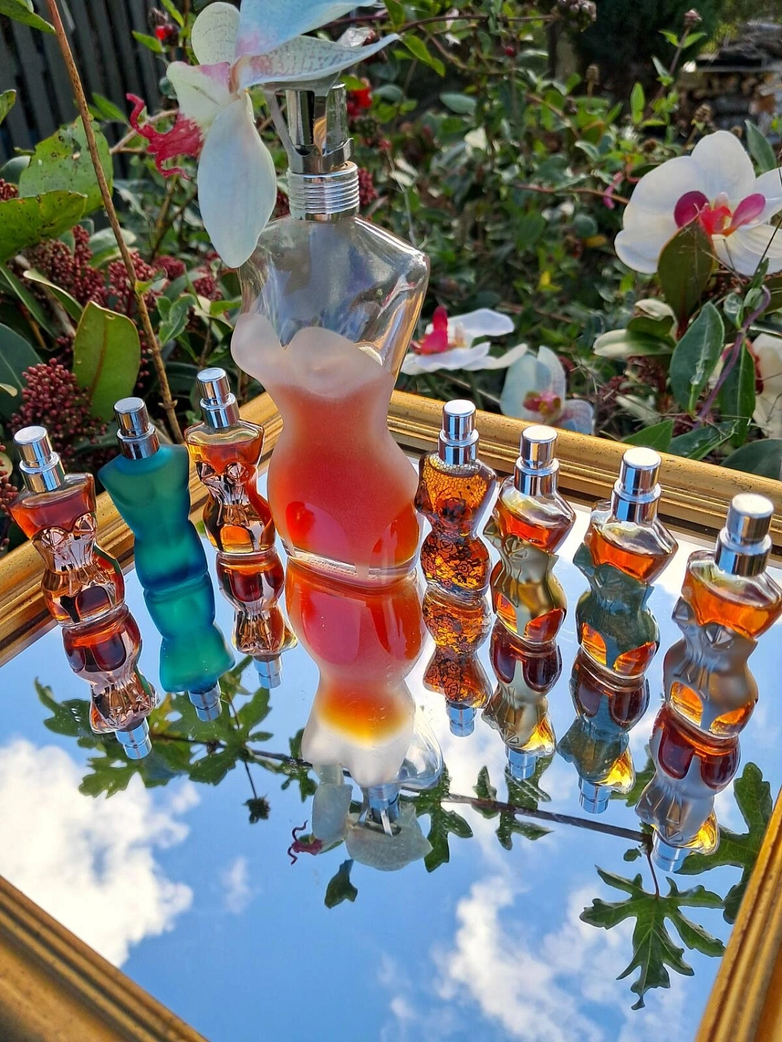 Jean Paul Gaultier Classique