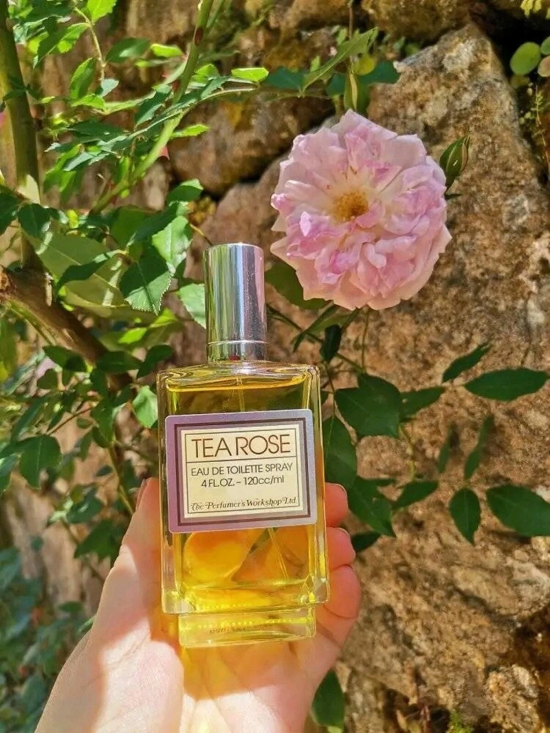 Perfumer’s Workshop Tea Rose