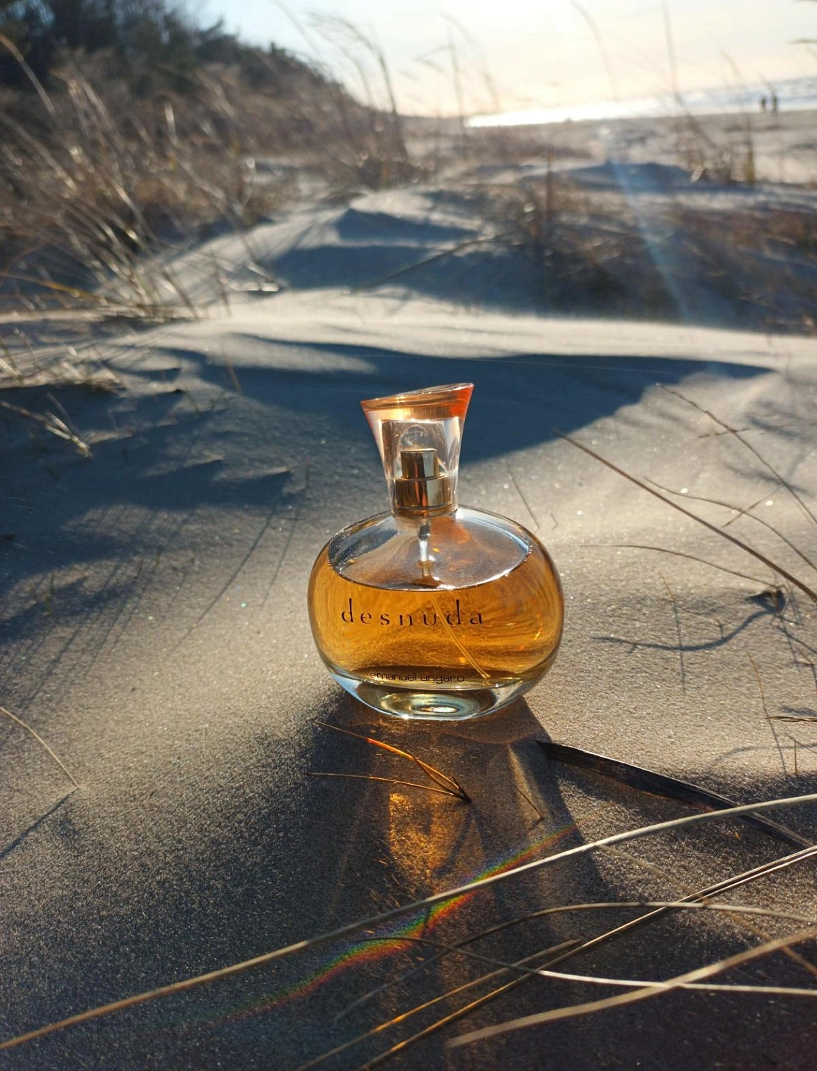 Emanuel Ungaro Desnuda