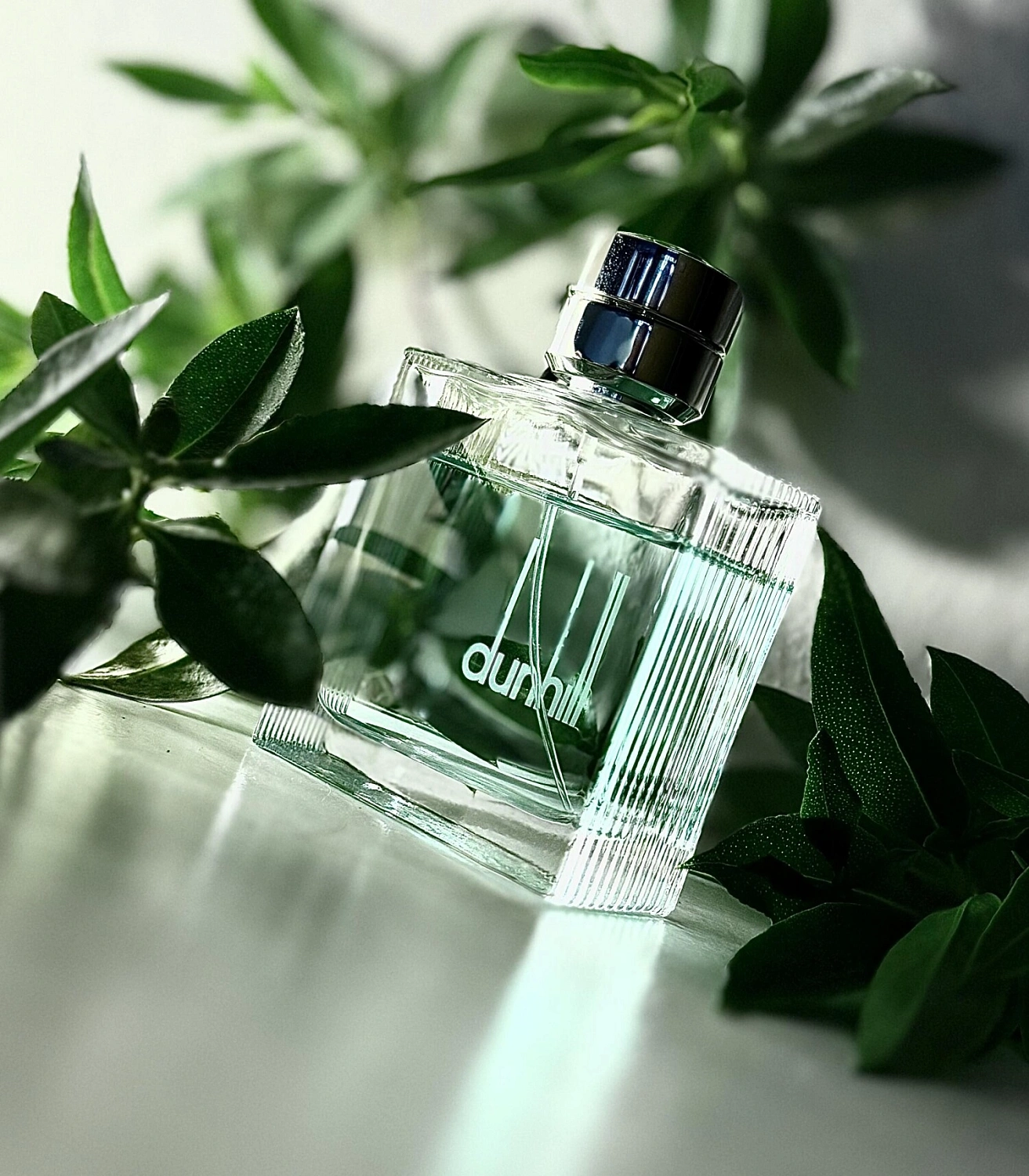 Dunhill Fresh