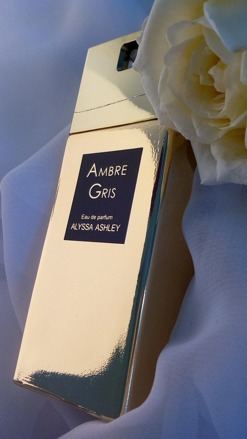 Alyssa Ashley Ambre Gris Alyssa Ashley Ambre Gris