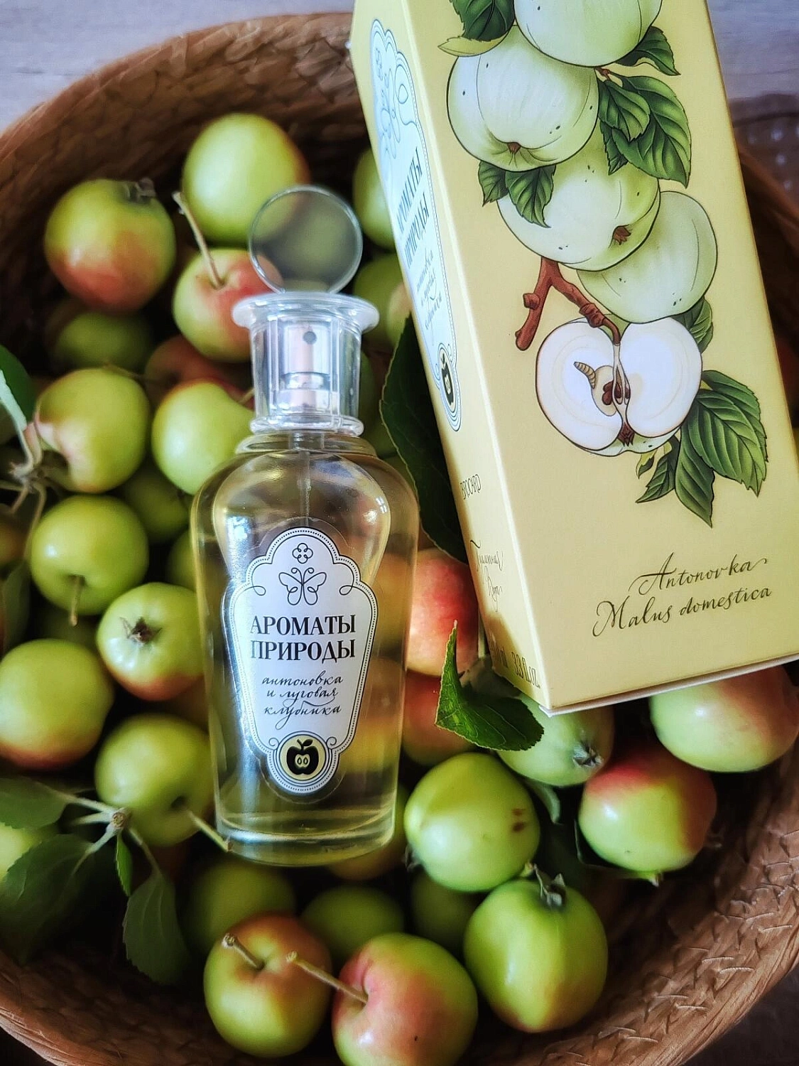 Brocard Антоновка и Луговая клубника