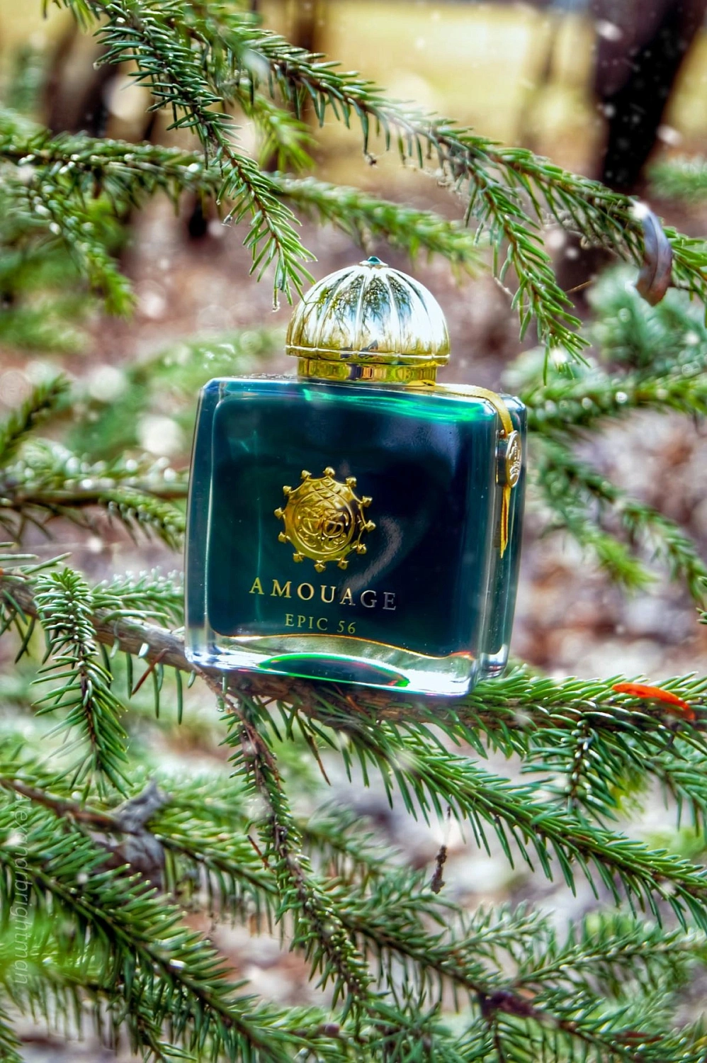 Amouage Epic 56 Woman Amouage Epic 56 Woman