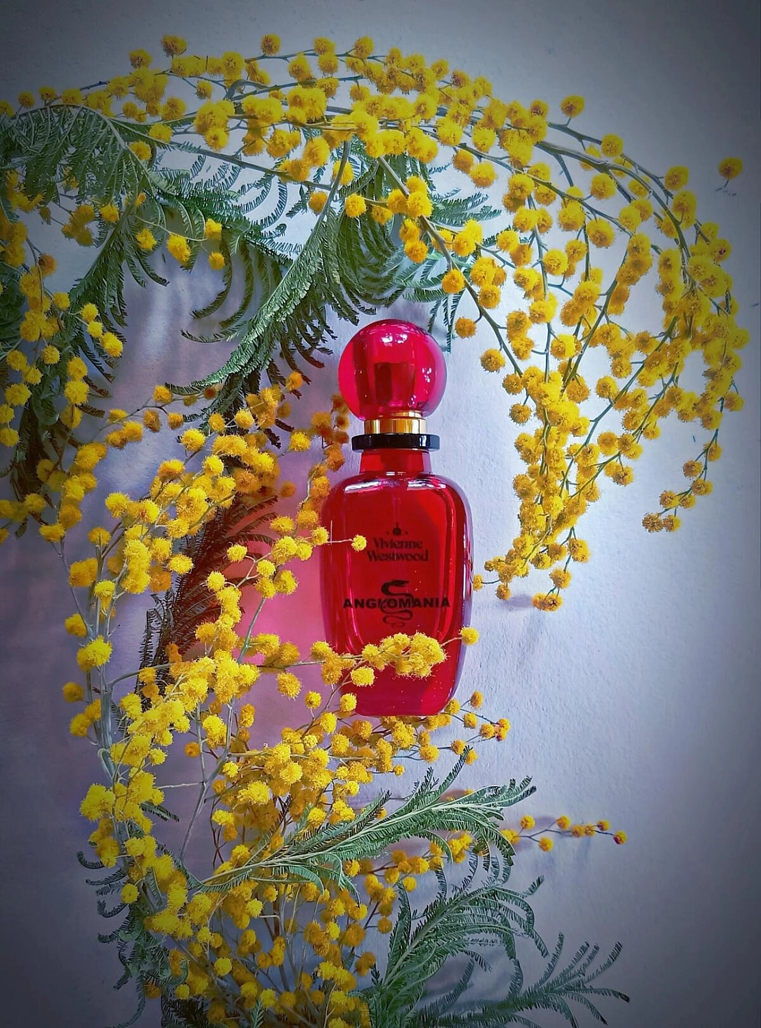 Vivienne Westwood Anglomania