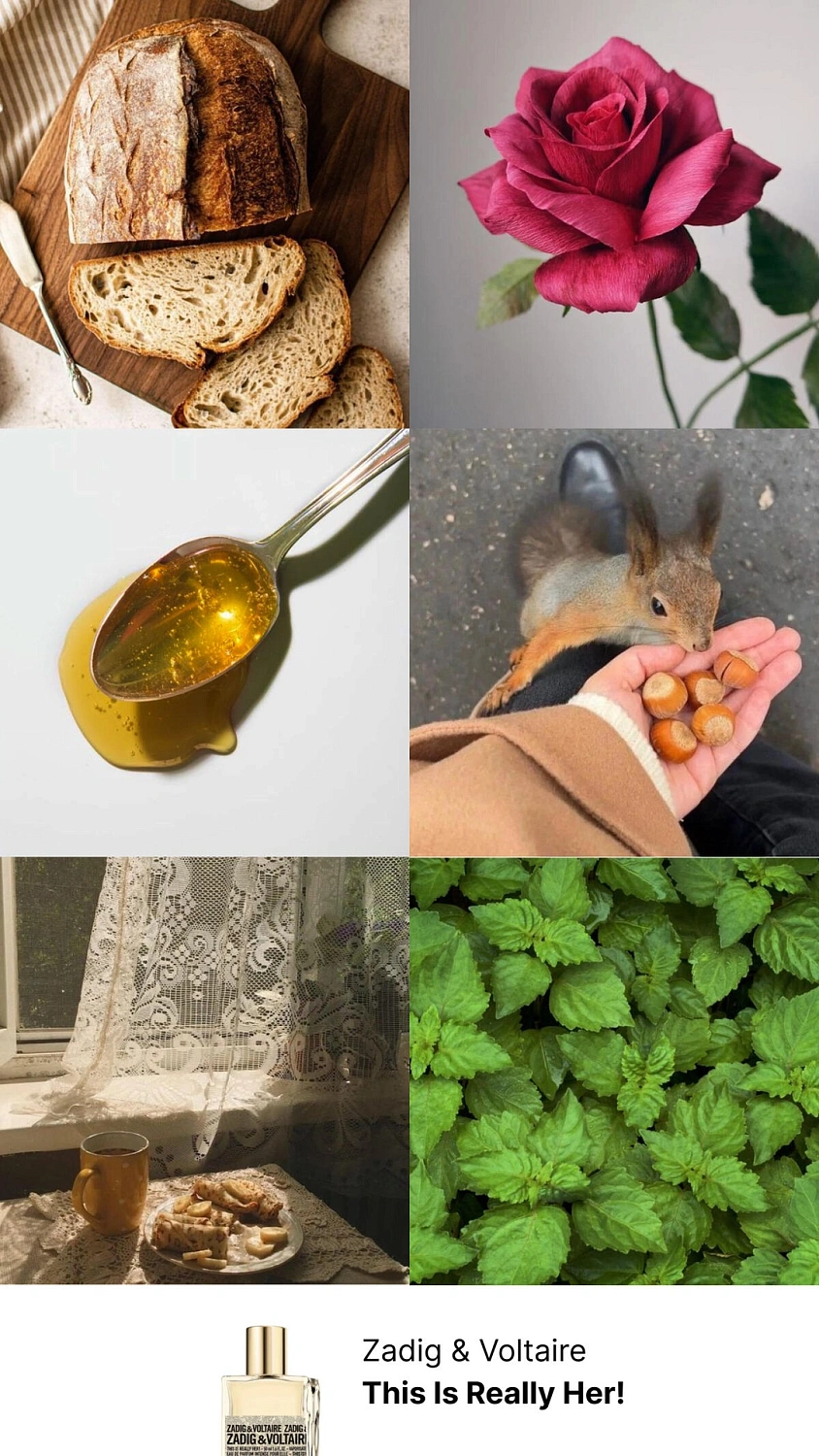 ZADIG & VOLTAIRE This Is Really Her!