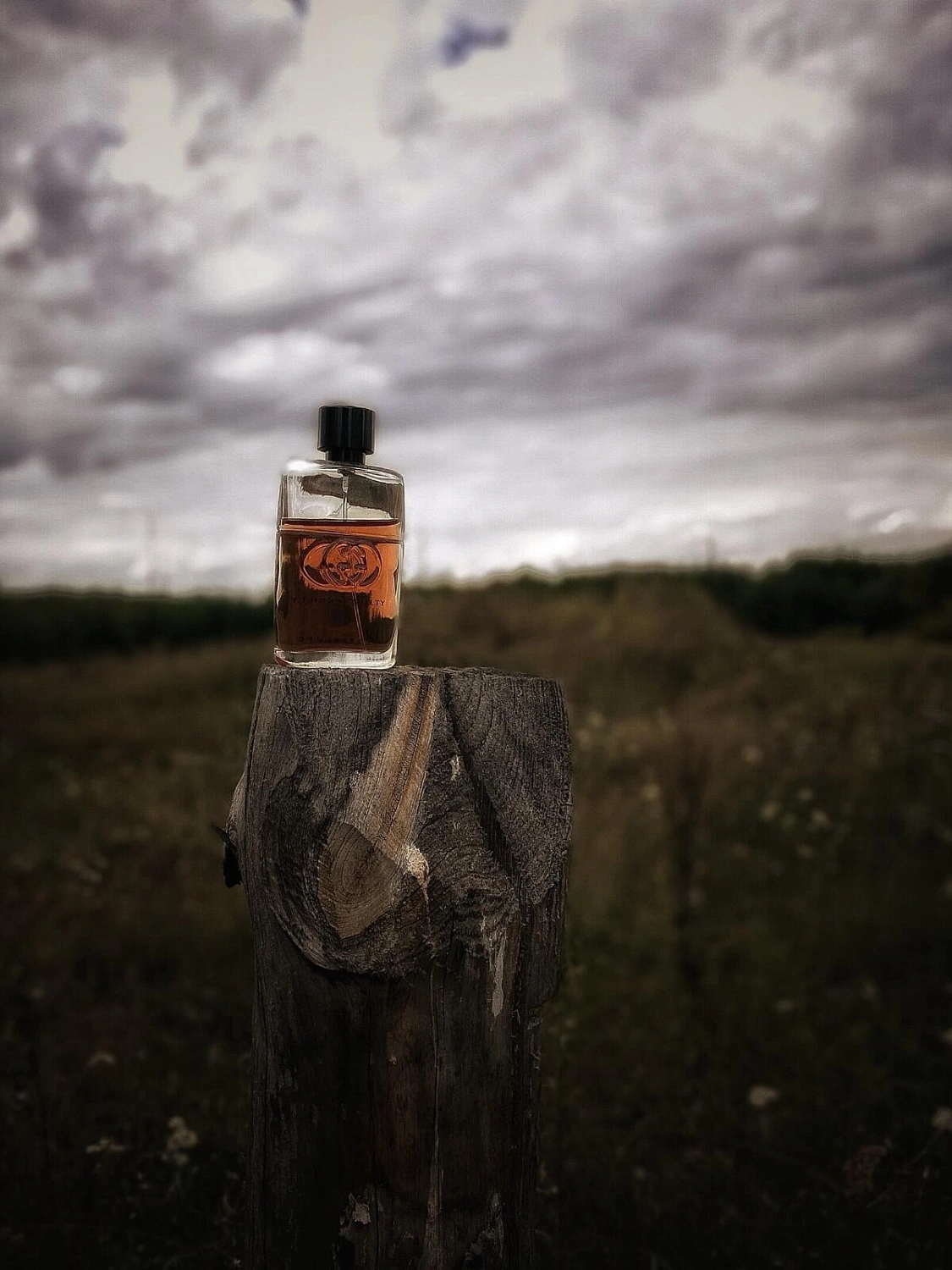 Gucci Guilty Absolute