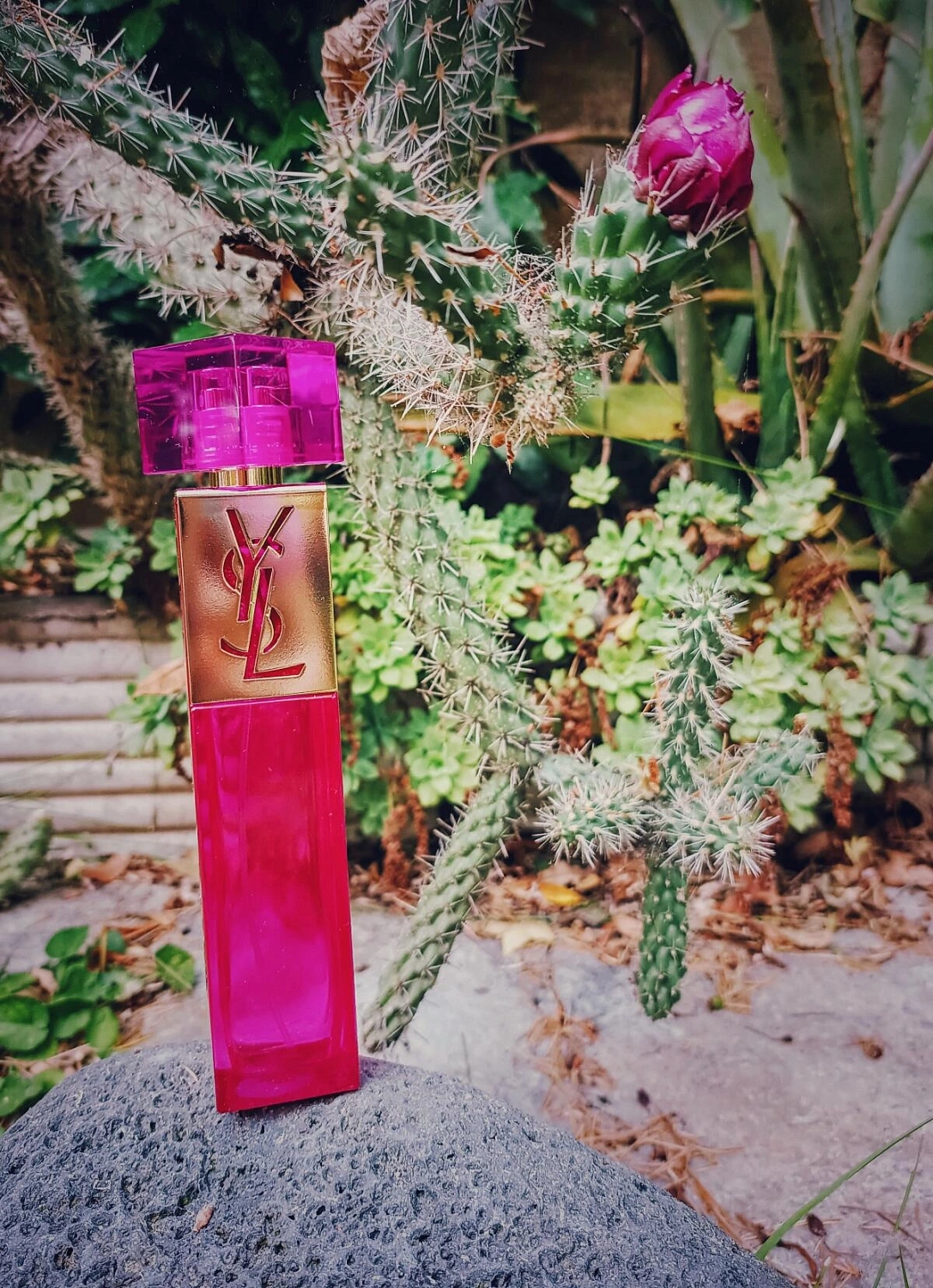 Yves Saint Laurent Elle