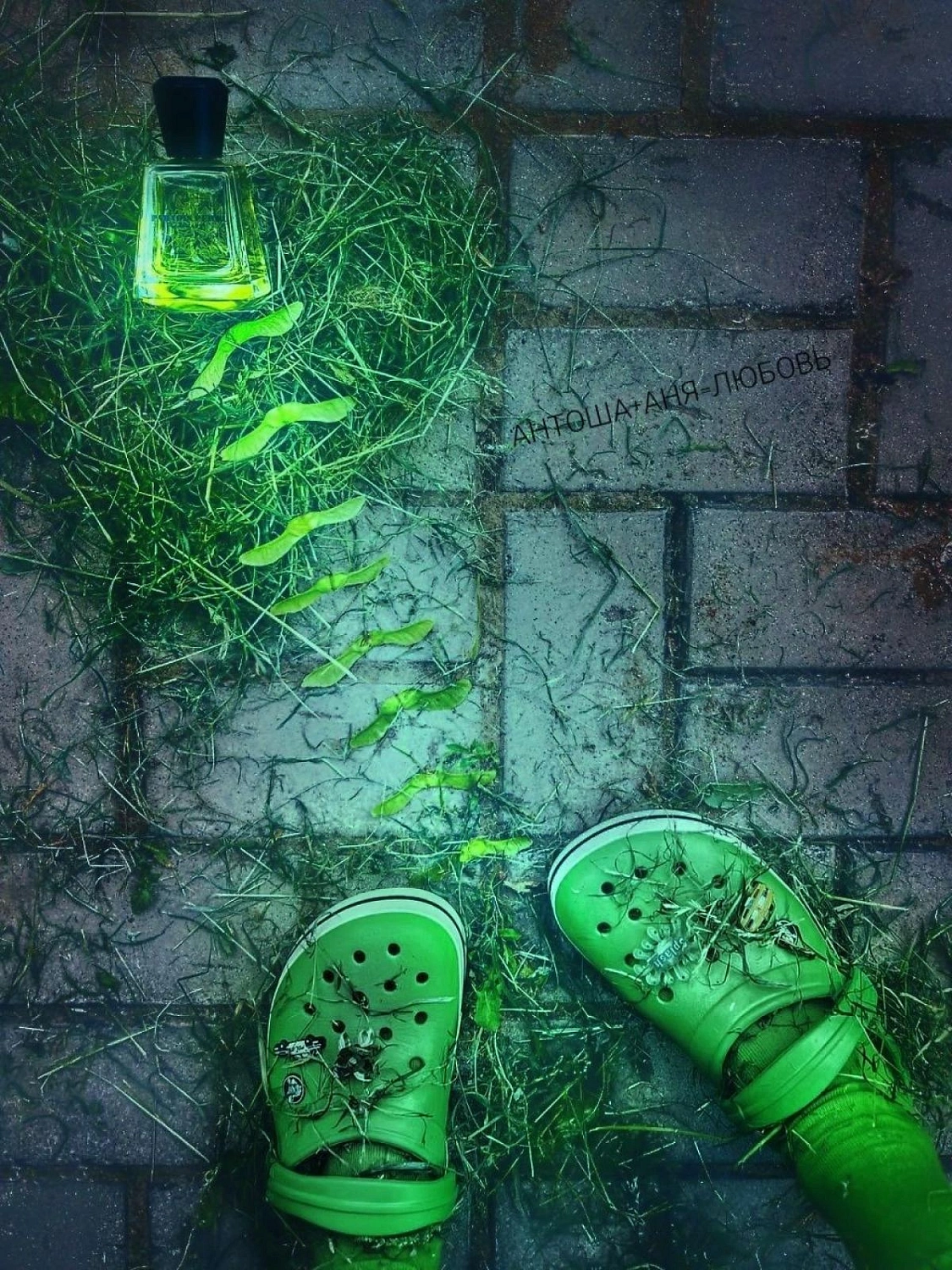 Frapin Paradis Perdu