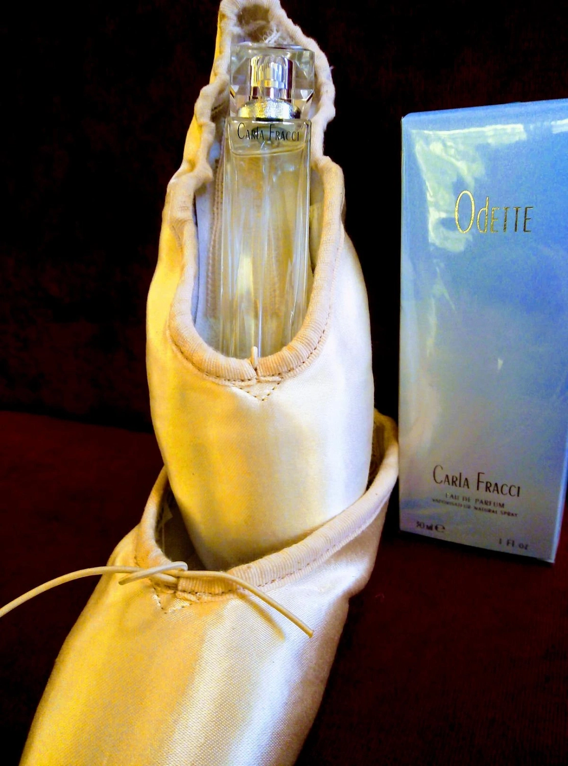 Carla Fracci Odette Carla Fracci Odette