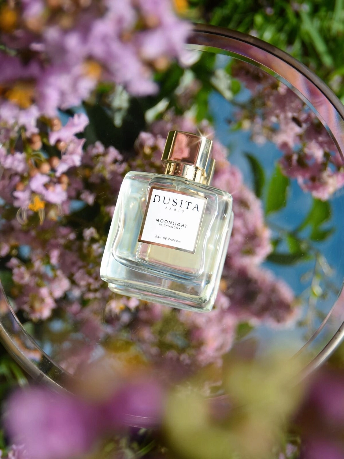 Dusita Moonlight In Chiangmai