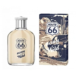 Route 66 Born To Be Wild
