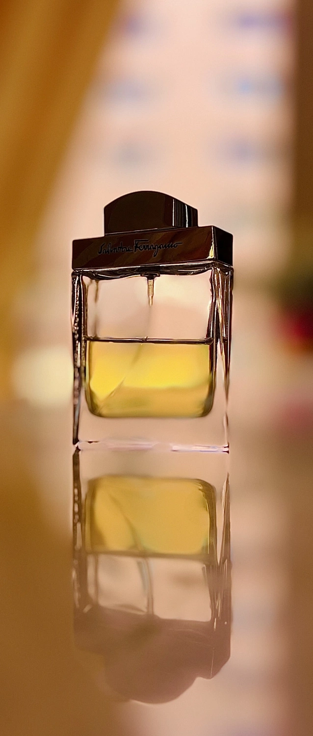 Salvatore Ferragamo pour Homme