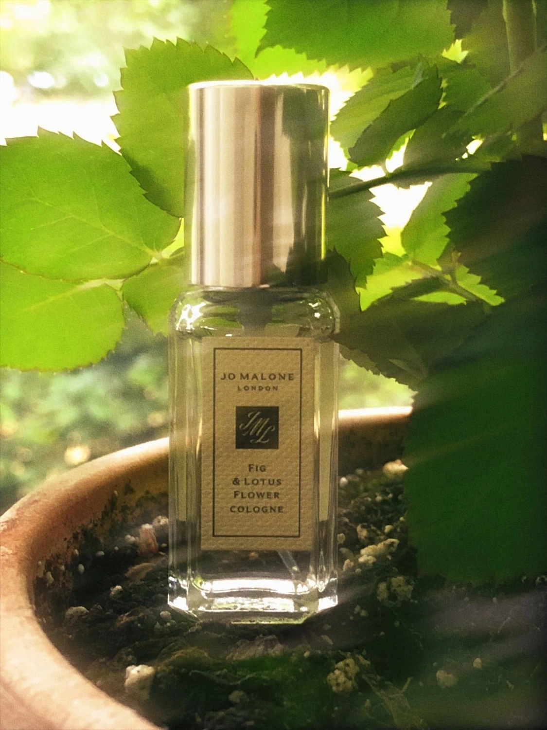 Jo Malone Fig & Lotus Flower Jo Malone Fig & Lotus Flower