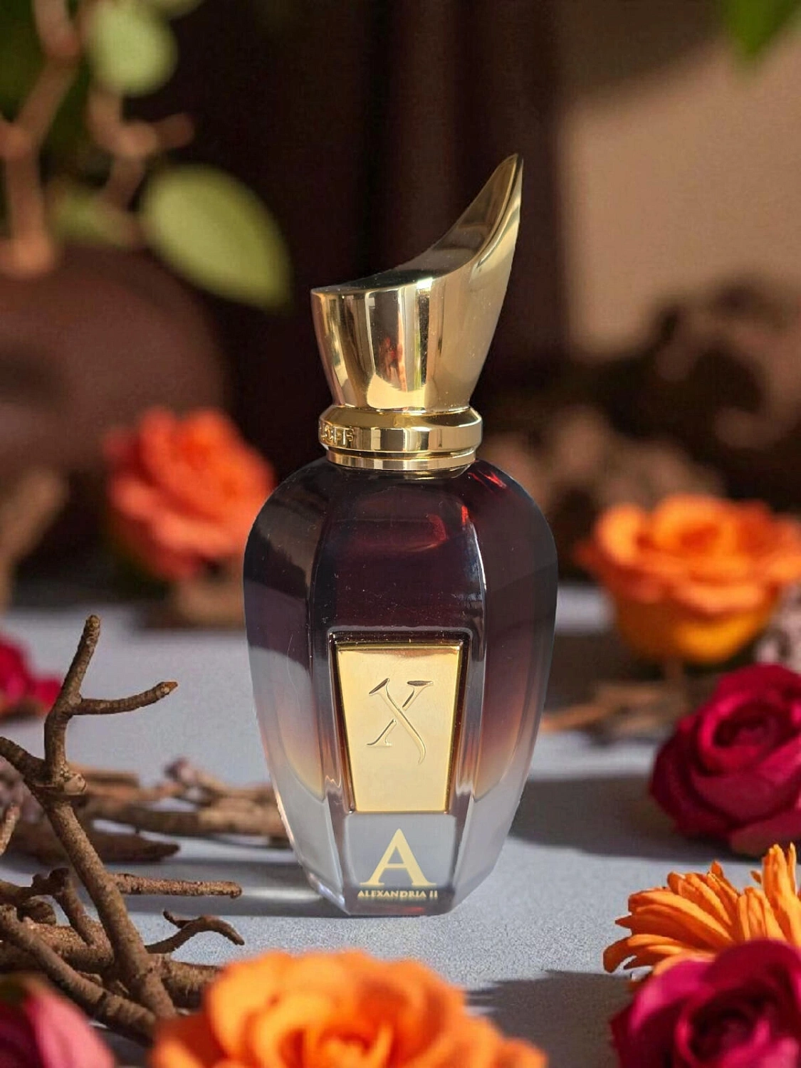 Xerjoff Alexandria II