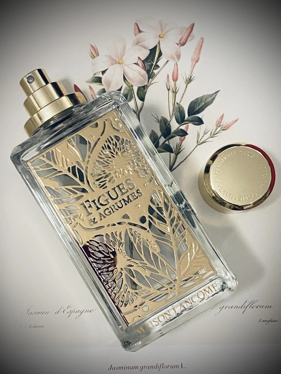 Lancome Figues & Agrumes