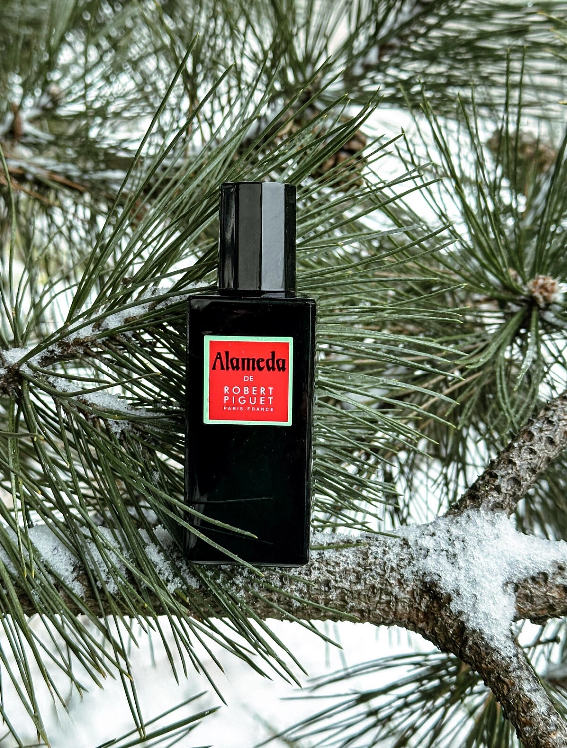 Robert Piguet Alameda