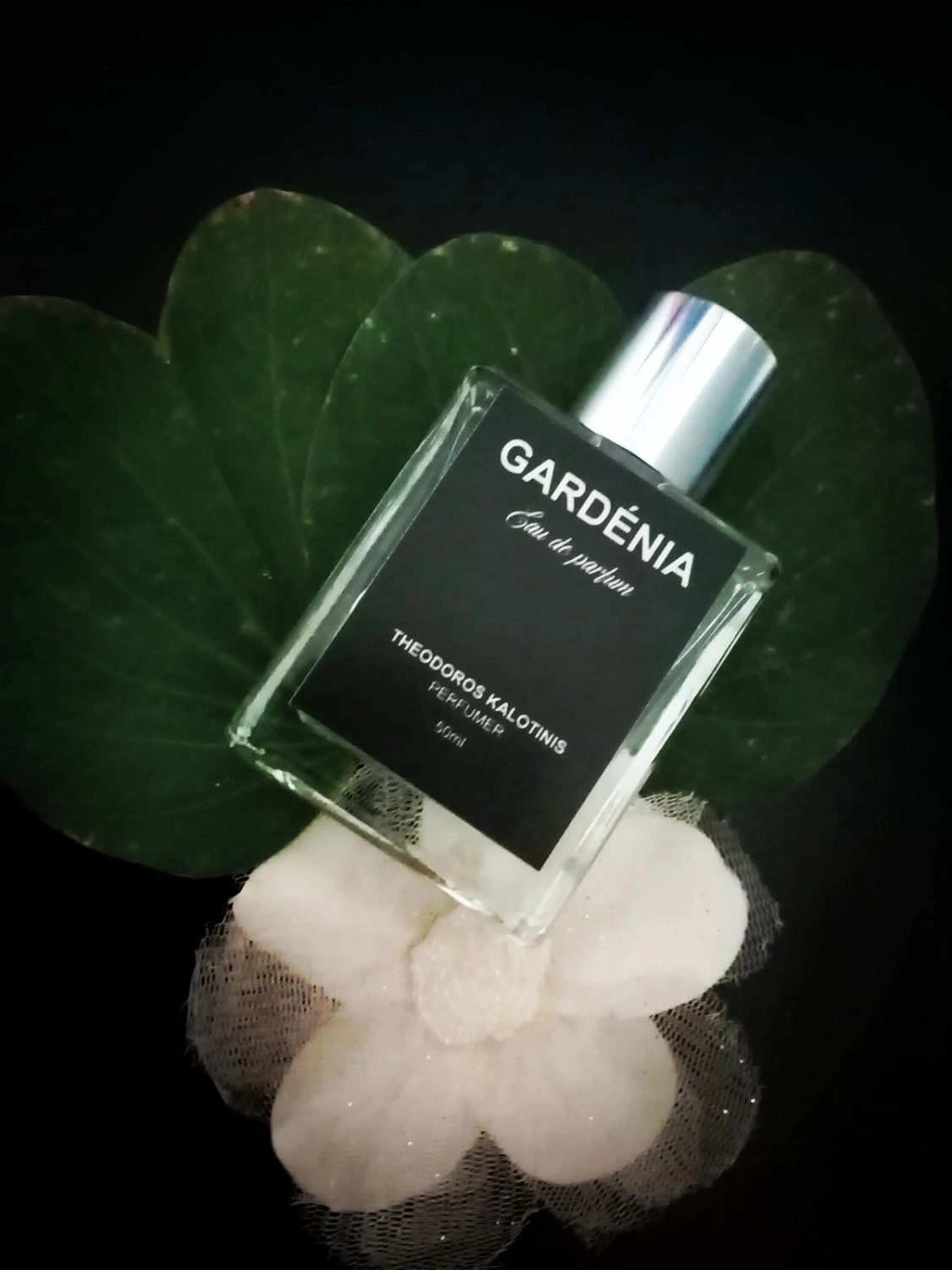 Theodoros Kalotinis Gardenia