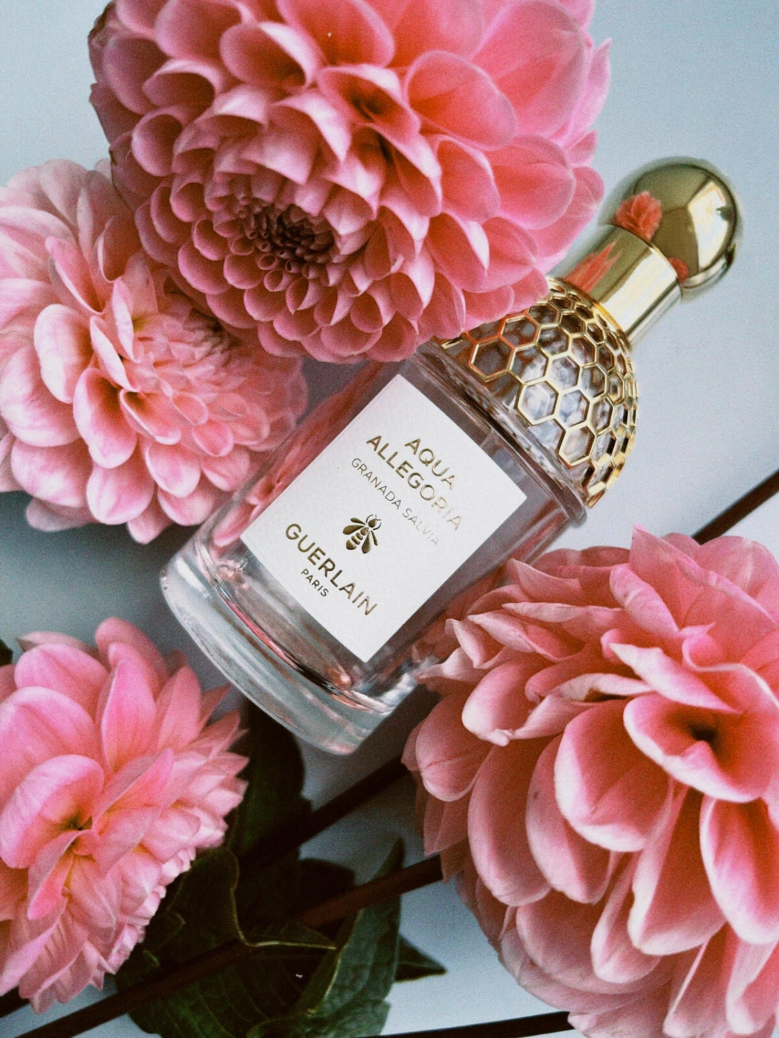 Guerlain Aqua Allegoria Granada Salvia