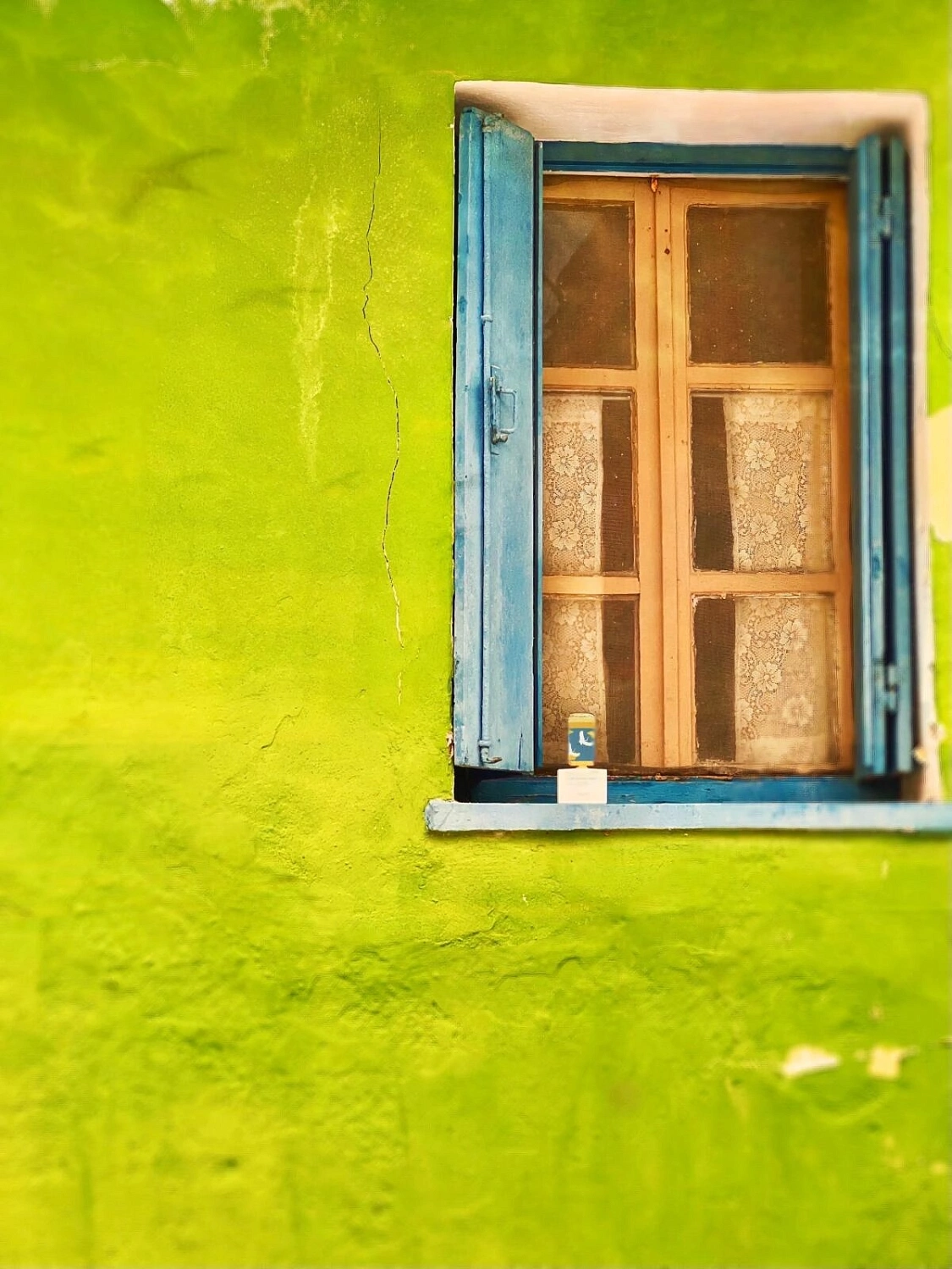 Floraiku I Am Coming Home