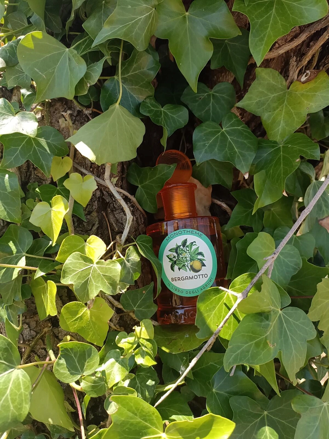 Monotheme Fine Fragrances Venezia Bergamotto