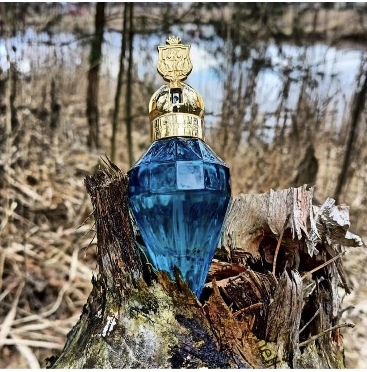 Katy Perry Royal Revolution