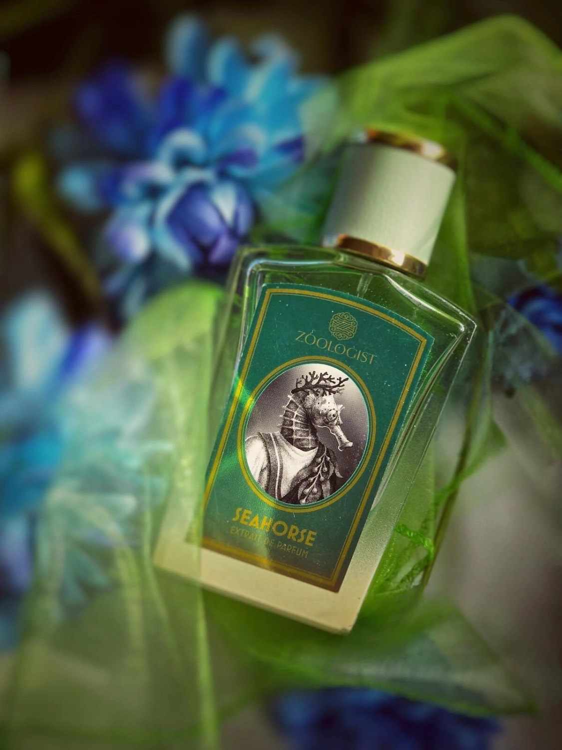 Zoologist Perfumes Seahorse
