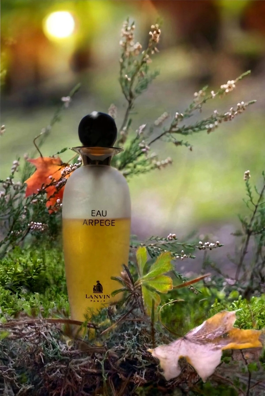Lanvin Eau Arpege Lanvin Eau Arpege