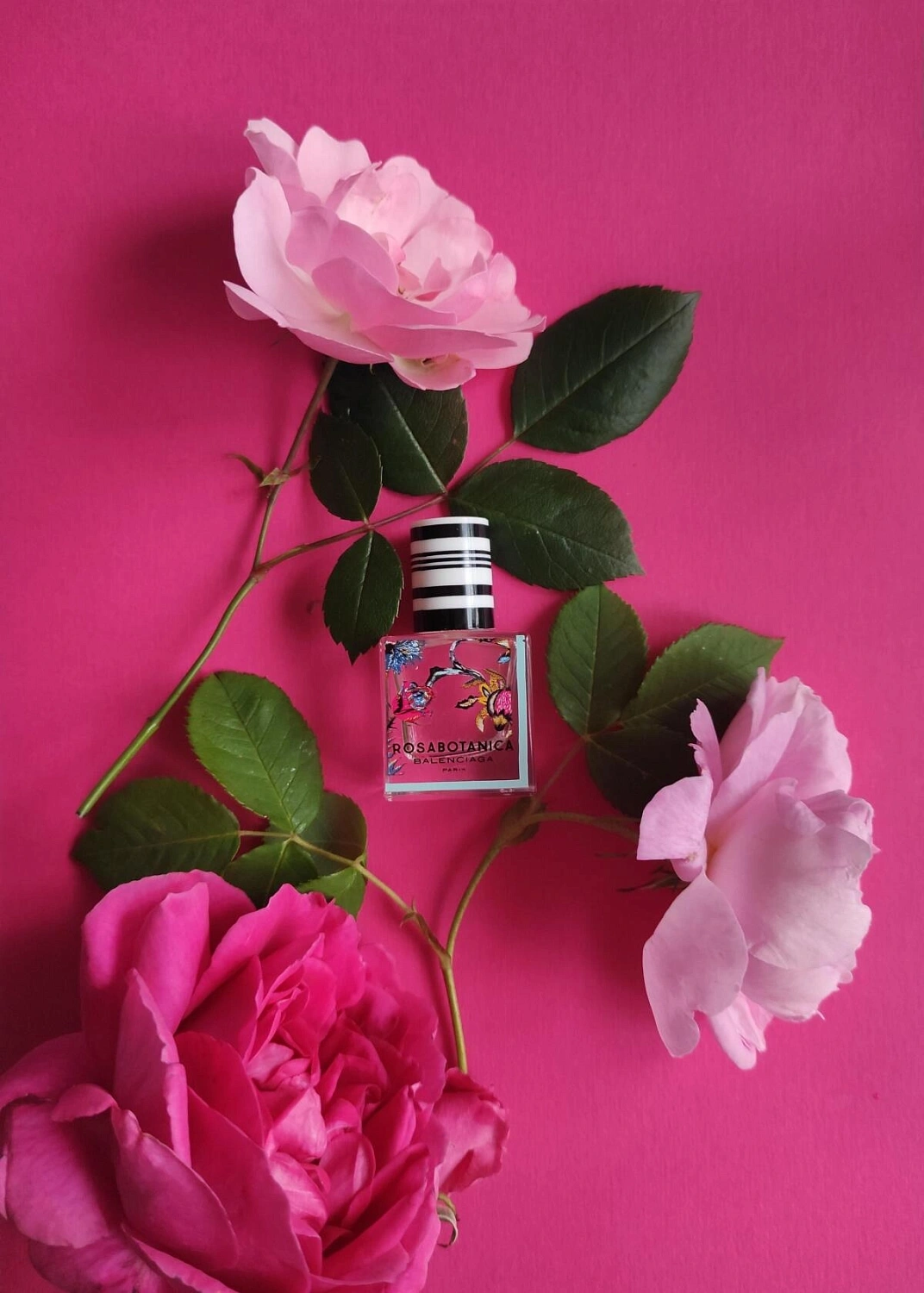 Balenciaga Rosabotanica