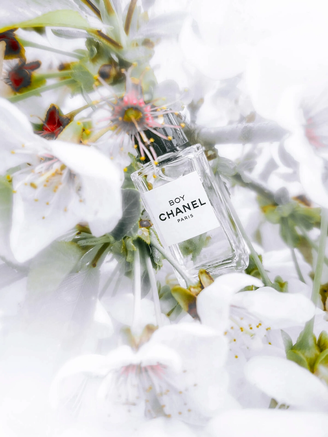 Chanel Boy Chanel Boy