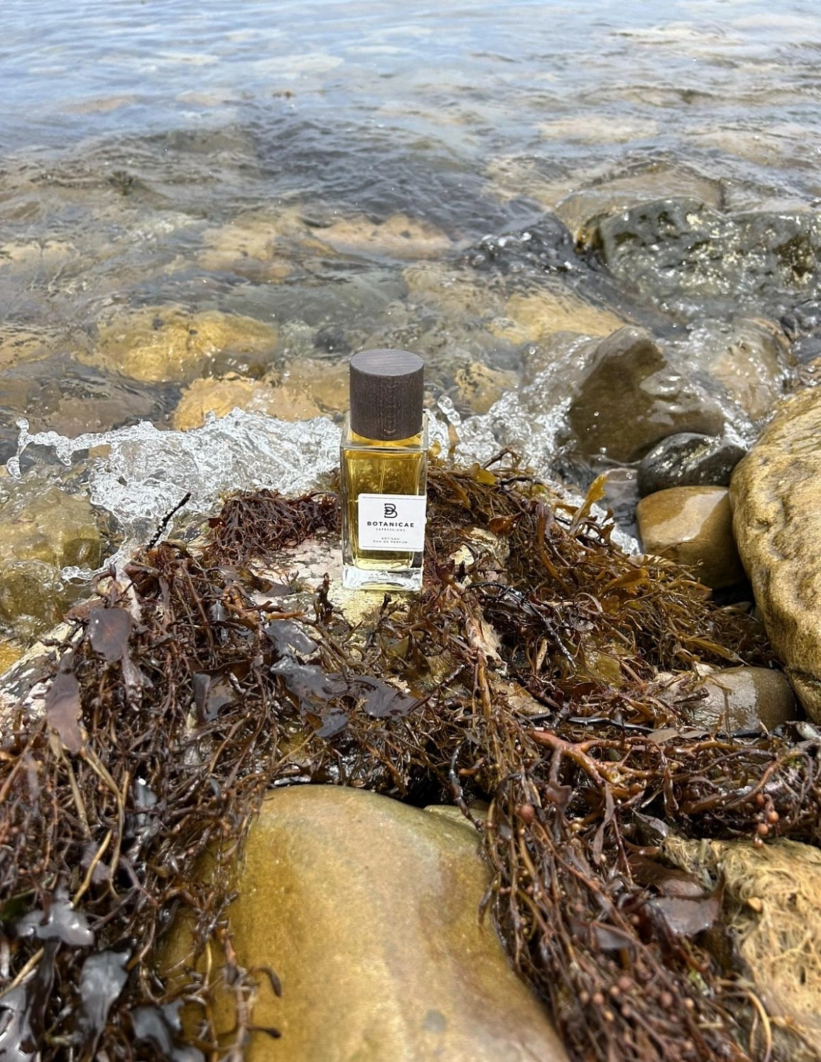 Botanicae Matin a Mogador