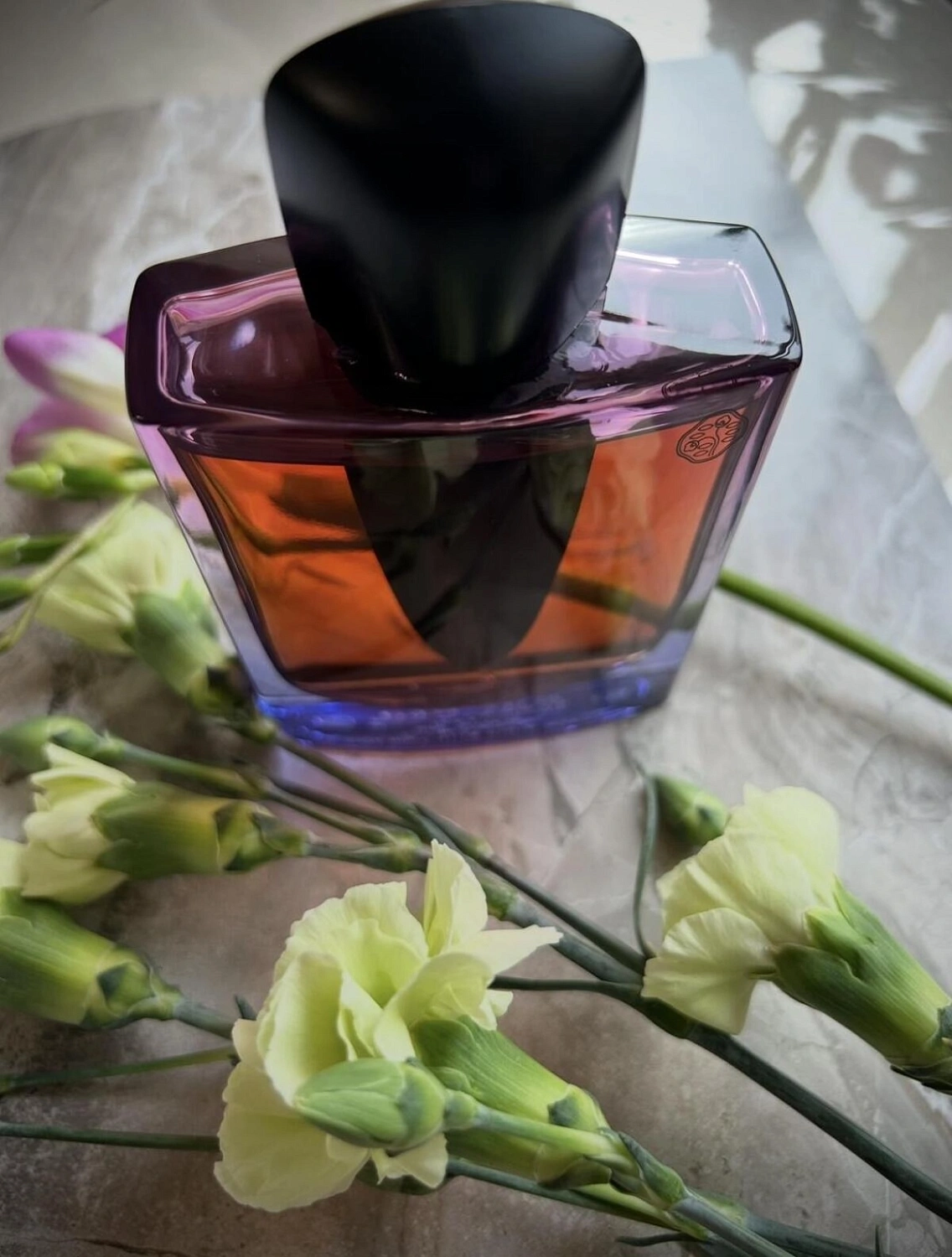 Shiseido Ginza Night