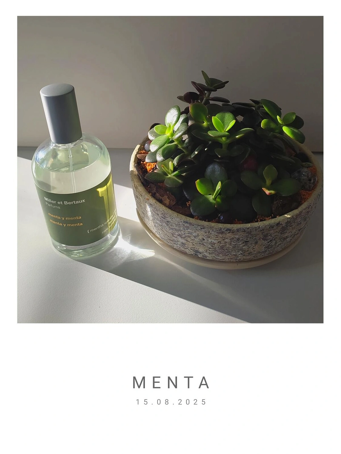 Miller et Bertaux Menta y Menta Miller et Bertaux Menta y Menta